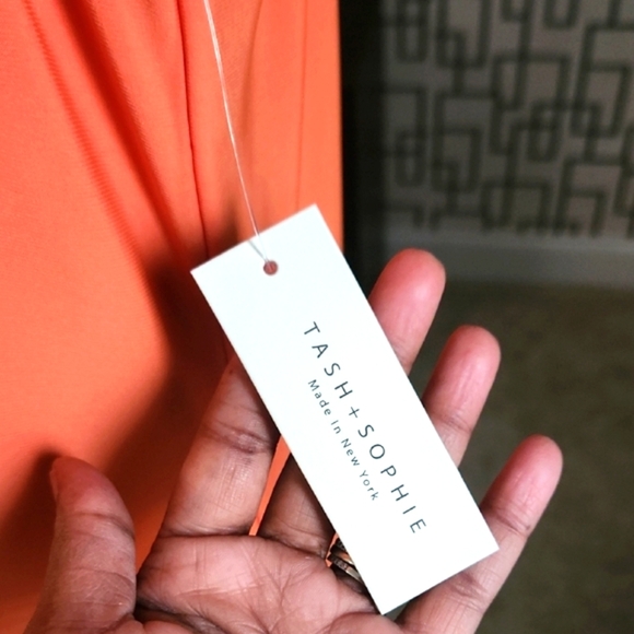 TASH + SOPHIE Colorblock Shift Dress - Picture 6 of 8